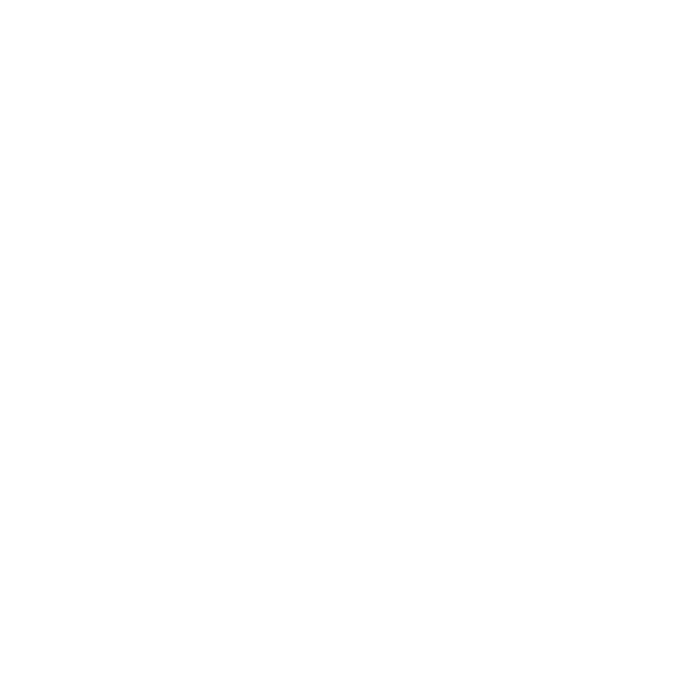 Logo Brinsa
